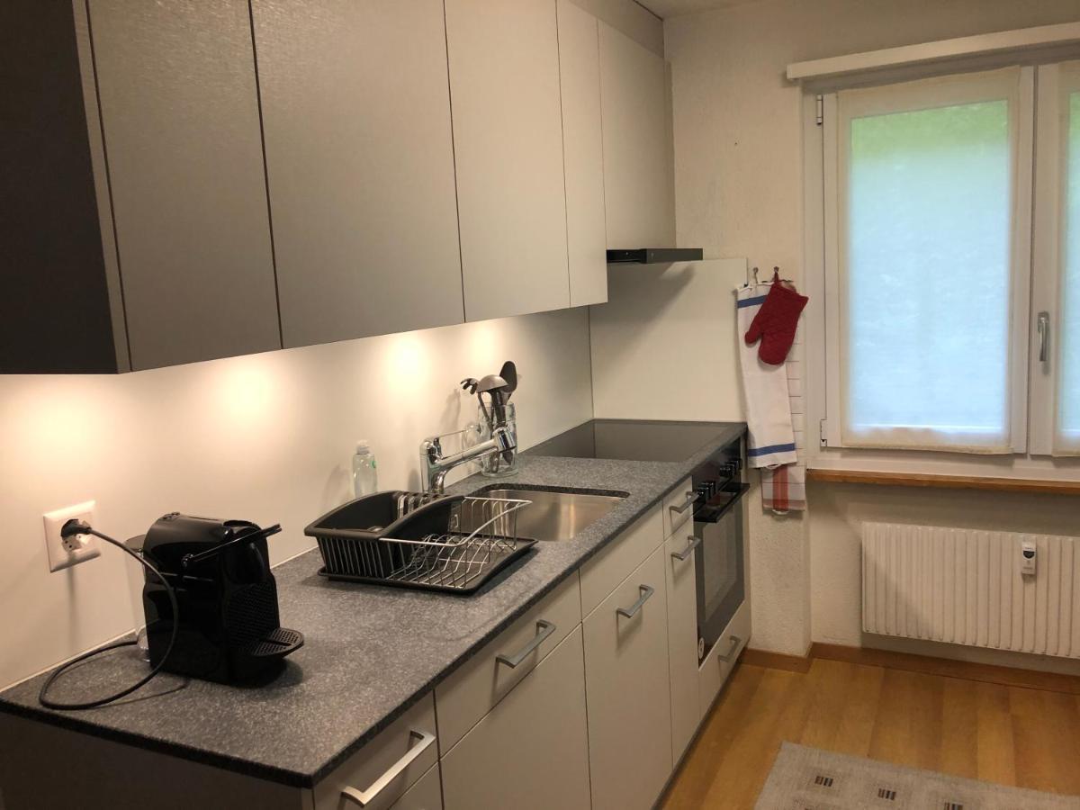 Superior Apartment 100M2 Bodmisonne - Γκρίντελβαλντ Εξωτερικό φωτογραφία