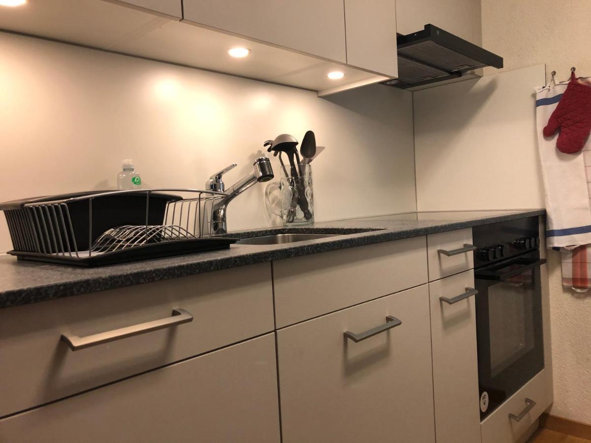 Superior Apartment 100M2 Bodmisonne - Γκρίντελβαλντ Εξωτερικό φωτογραφία