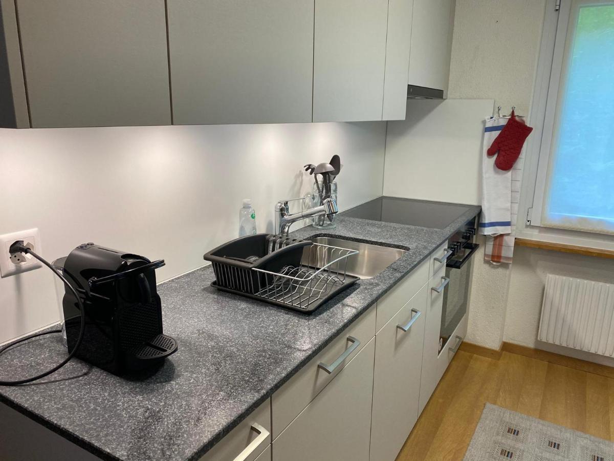 Superior Apartment 100M2 Bodmisonne - Γκρίντελβαλντ Εξωτερικό φωτογραφία